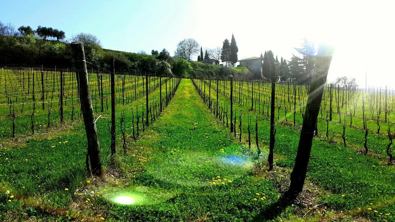 Agriturismo La Guarda Picedo 0*,  Italien