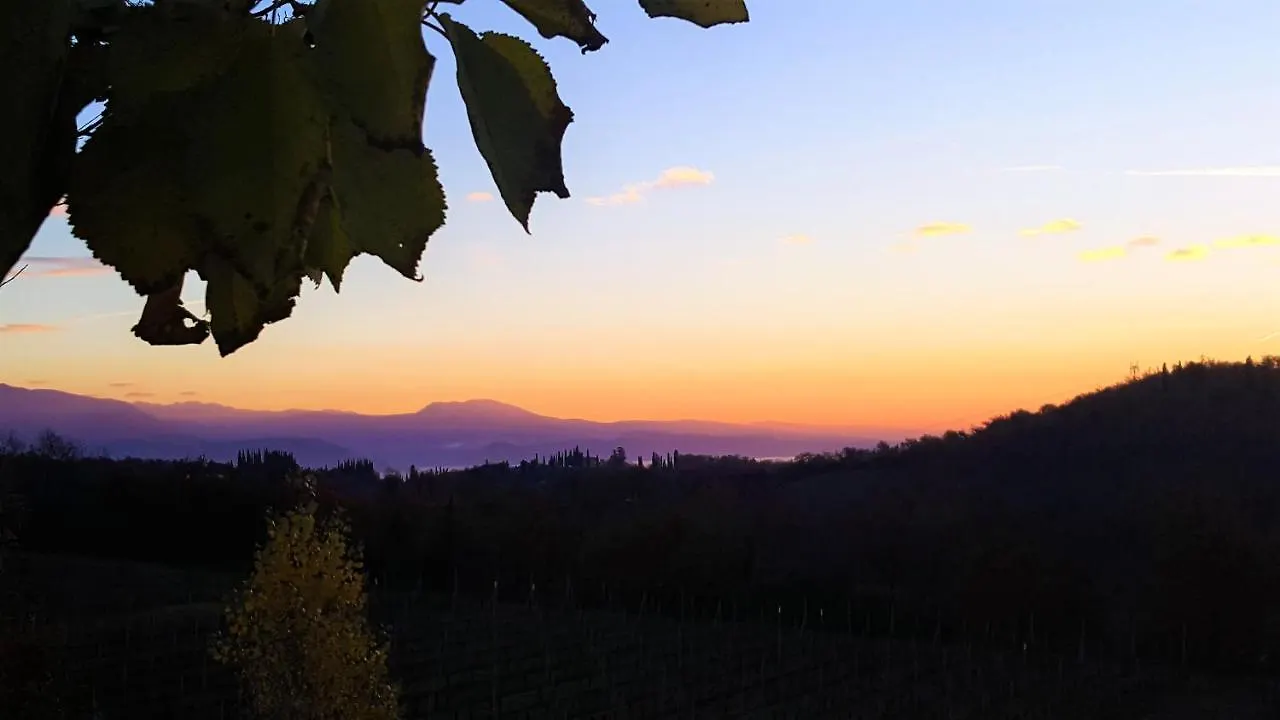 Agriturismo La Guarda Picedo Italy