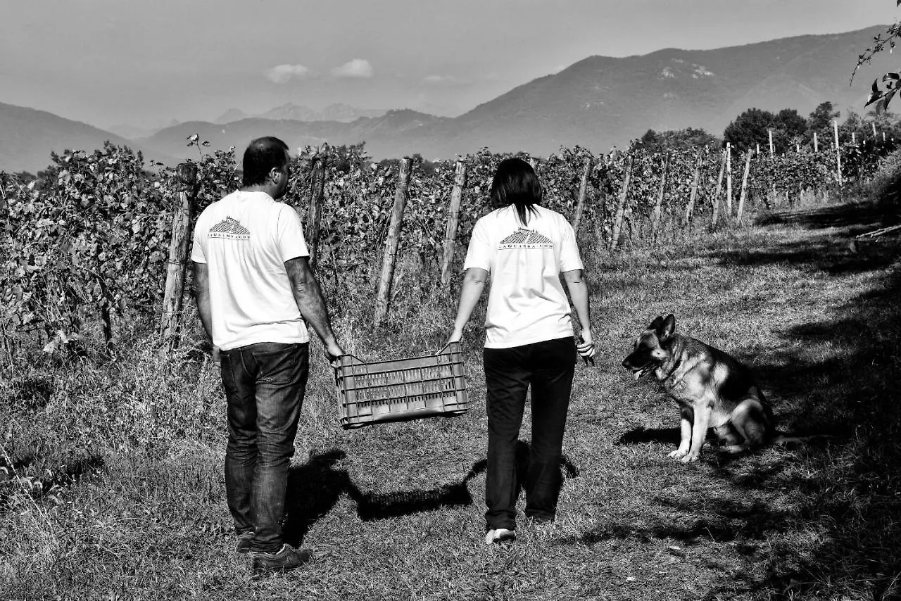 Agriturismo La Guarda Picedo