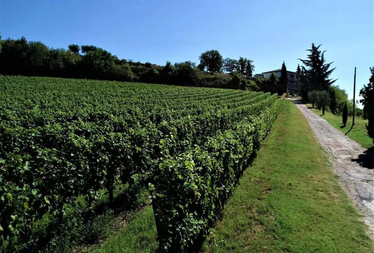 Agriturismo La Guarda Picedo Italy